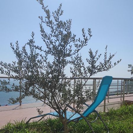 Apartment Oliva Ulcinj Eksteriør bilde